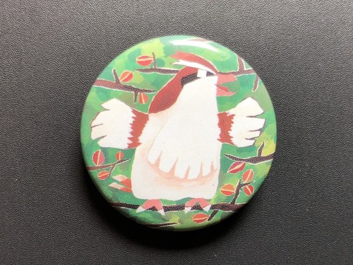 Roucool pidgey pin - /,