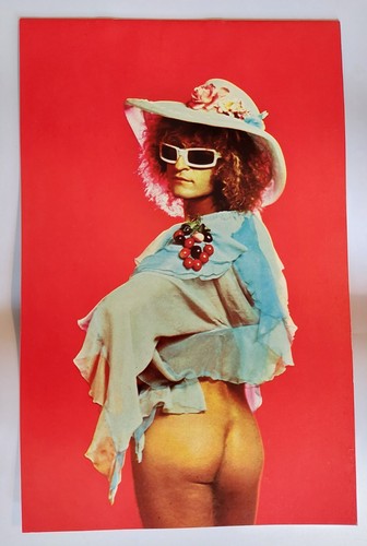 Michel polnareff - michel, polnareff: 