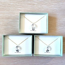 Collier Ghibli Park Limited