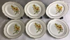 Lot1 De 6 Grandes Assiettes