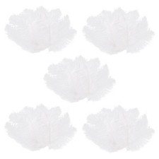 50 Pièces Plume D'Autruche