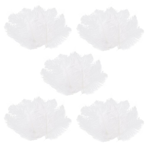 Pièces plume autruche - 50,