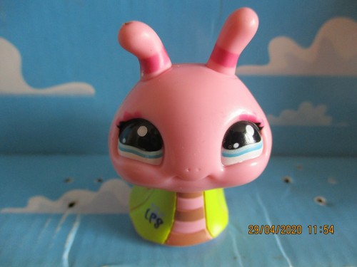Petshop trotteur escargot - trotteur,