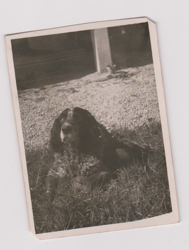 Photo ancienne - ancienne, 🎞️