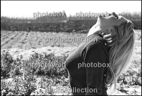 Brigitte bardot exclusive - bardot,