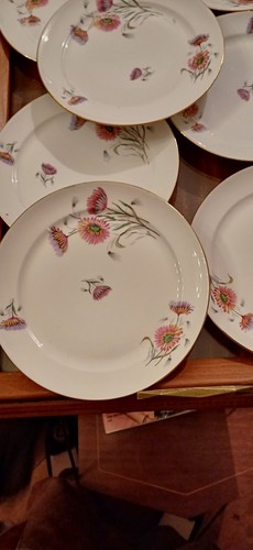 Assiettes dessert en - assiettes, a
