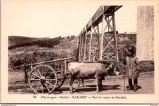 S25132 cpa 15 Garabit - sur la