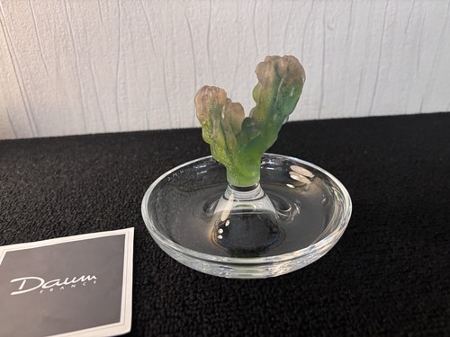 Coupe baguier cactus modèle