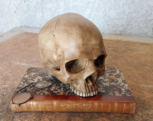Memento mori - memento,