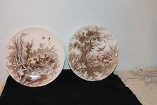 GRANDE  ASSIETTES SYLVA U§C SARREGUEMINES CHASSE - PECHE -NATURE- OISEAUX 