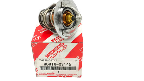 9091603145 POUR THERMOSTAT