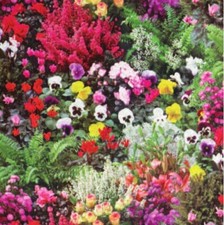 Nappe En Toile Cirée Fleurs