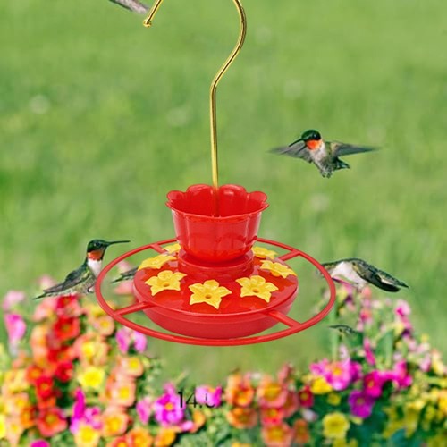 Mangeoire pour colibri jardin