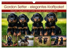 Le setter Gordon - un