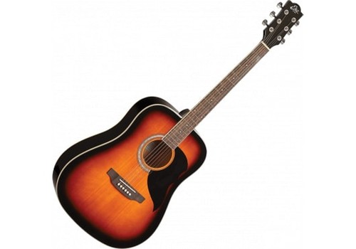 Acoustic guitar eko - guitar,