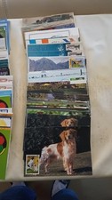 gros lot environ 500 cartes