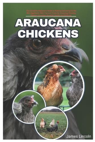 James lincoln araucana - lincoln,