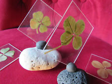 idée cadeau : Un vrai TRèFLE