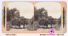 JAPON, JAPAN, NIKKO, HOMME & CHEVAUX, STÉRÉO 1901  -U140
