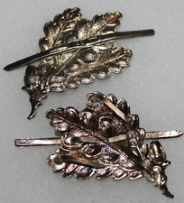 Insigne de coiffure des chasseurs alpins allemands 2e WW gebirjager, montagne