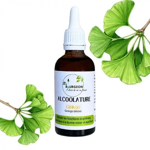 Alcoolature ginkgo - ginkgo,