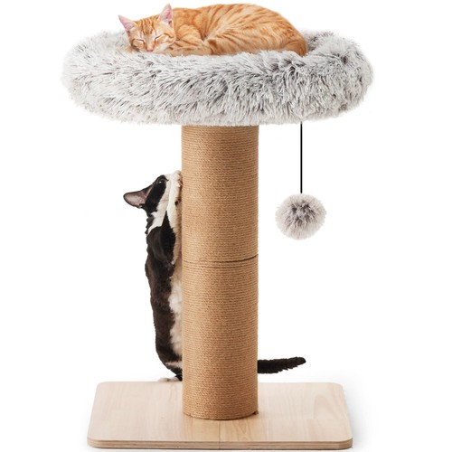 Arbre chat 2 cm de - chat,