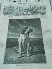 Gravure 1859 - Chien de Chasse