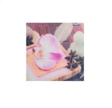 Cadre toile tableau Zen fleur Orchidée et galet - 40 x 40 cm