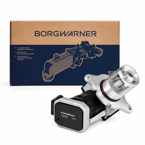 Valve egr borgwarner - borgwarner, 7625d