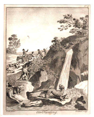 19th century engraving the - 19th,