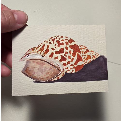 Aceo original fine art print - original,