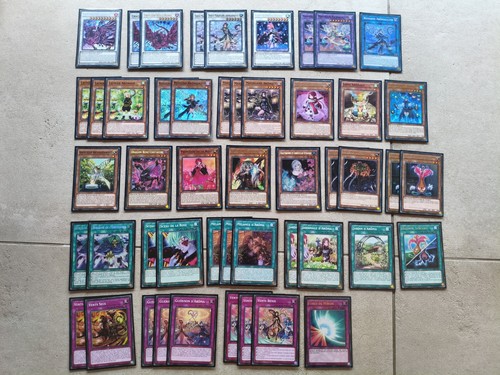 Deck aroma dragon - oh, /
