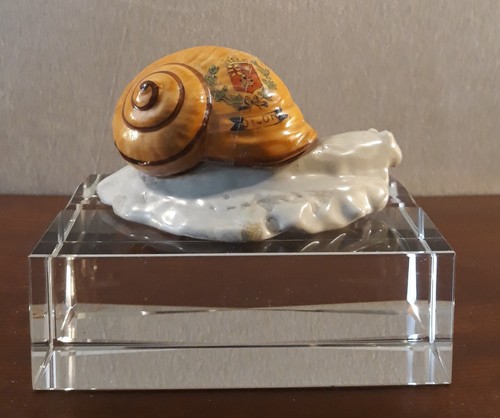 Ancier moutardier escargot - ancier, en