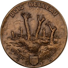 France, Médaille, Porte-avions Bois Belleau, Bronze, SUP, Guiraud