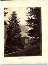 Collodion, Luscombe  Tirage albuminé  17x22  Circa 1860   Tirage albumin