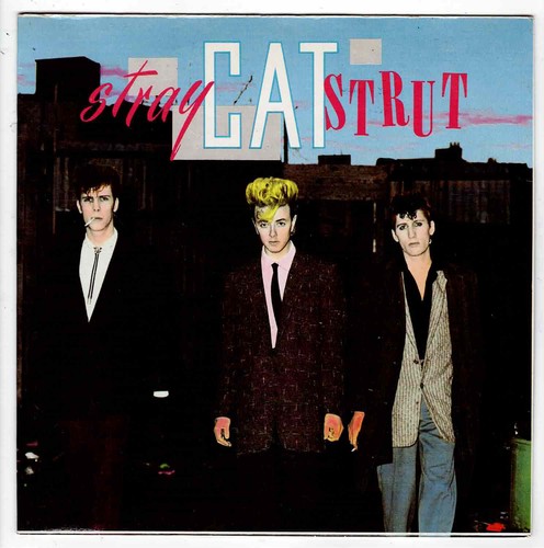 Stray cats cat - ,
