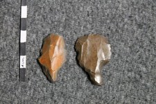 Préhistoire Paléolithique