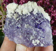 Top Fluorite Mauve & Aragonite