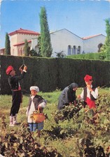 66 PERPIGNAN SANT VICENS