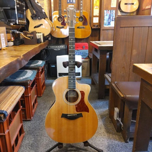 Guitare électrique acoustique