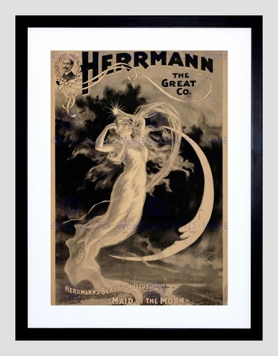 86582 circus herrman - circus,
