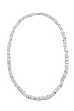 Genuine Tiger Puka Shell