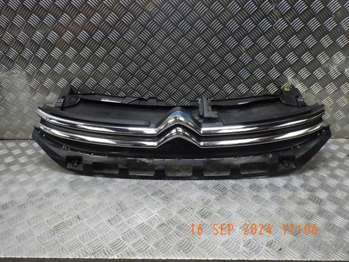 Calandre citroen phase 1 - calandre,