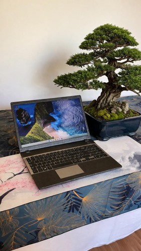 Samsung 8go ssd - samsung,