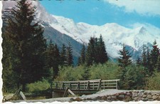 CPSM CHAMONIX MONT BLANC PONT AU BOIS DU BOUCHET AU FOND L' AIGUILLE DU MIDI ET