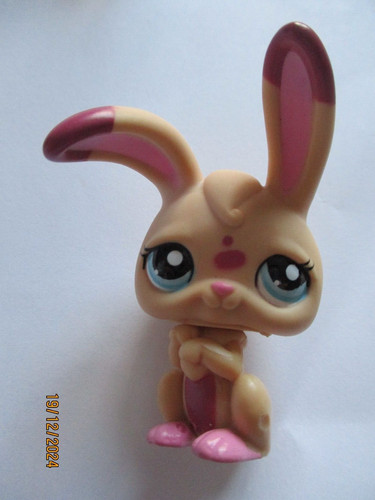 Petshop lapin garenne - petshop, #1722