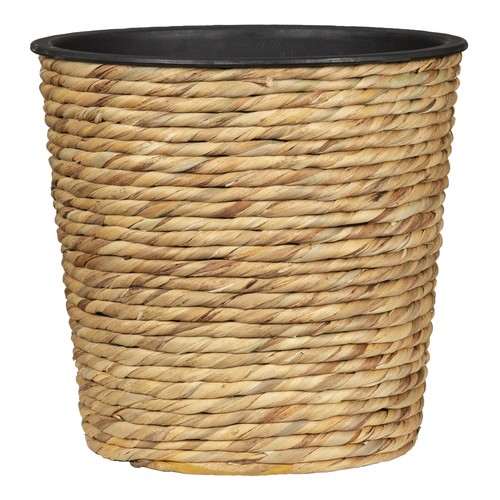 Pot fleurs hyacinth - pot,