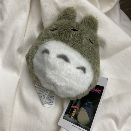 Neighbor totoro sleeping - my,