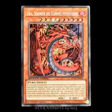 carte YU-GI-OH SGX3-FRG01
