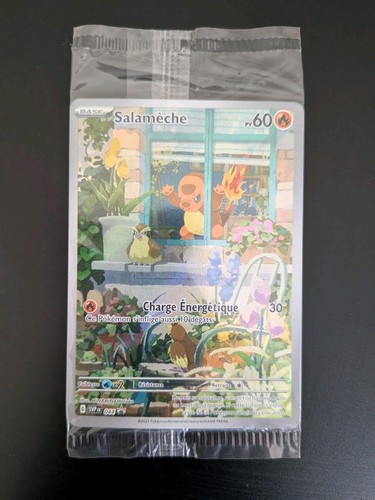 Carte pokemon - 🇫🇷,